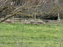 034-10-12-2025 IMG_3152